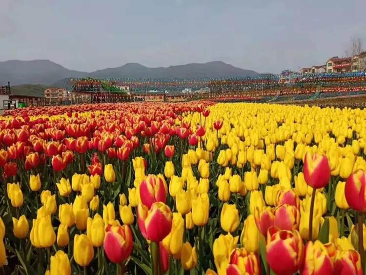 武宁花千谷门票通票